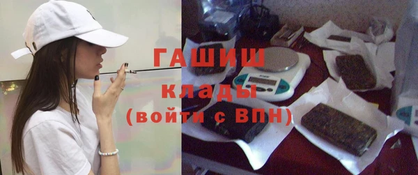 индика Горняк