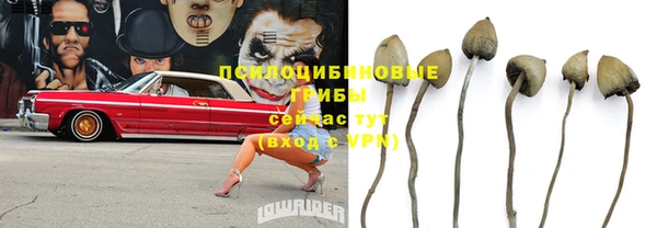 гашиш Горнозаводск