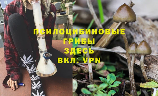 гашиш Горнозаводск