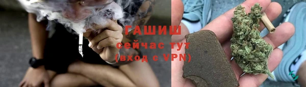 индика Горняк