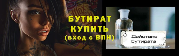 индика Горняк