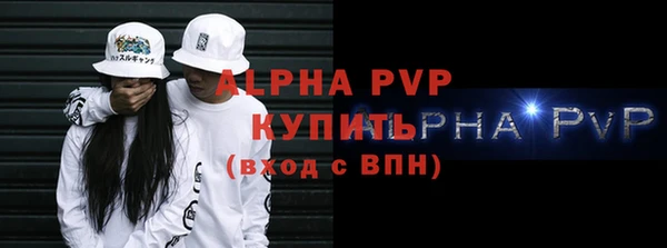 индика Горняк