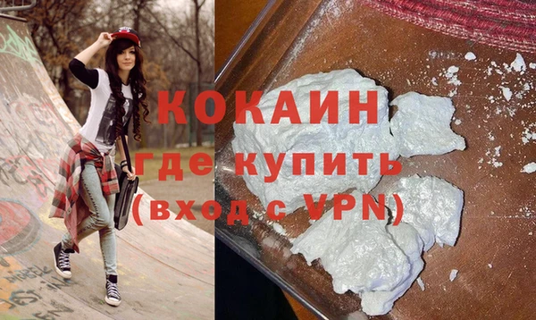 индика Горняк