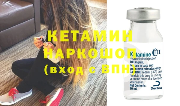 индика Горняк