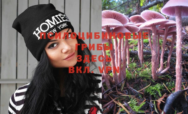 apvp Вязники
