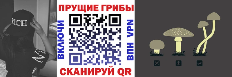 Галлюциногенные грибы ЛСД  Купить закладки  Красавино 